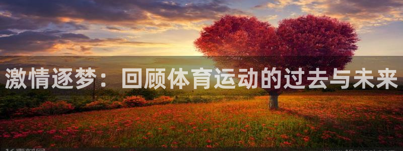 激情逐梦：回顾体育运动的过去与未来