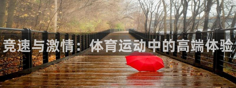 竞速与激情：体育运动中的高端体验