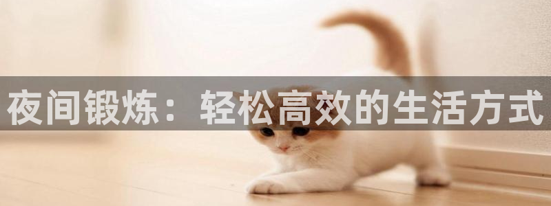 夜间锻炼：轻松高效的生活方式