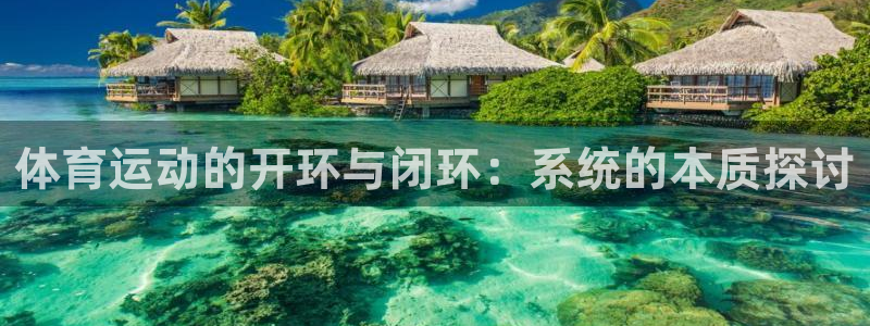 体育运动的开环与闭环：系统的本质探讨