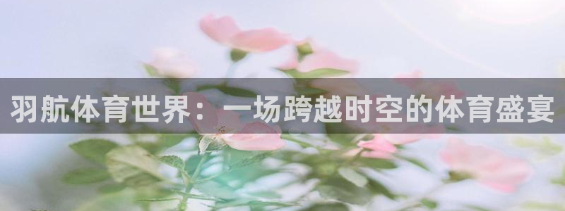 羽航体育世界：一场跨越时空的体育盛宴
