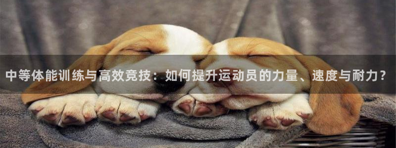 中等体能训练与高效竞技：如何提升运动员的力量、速度与耐力？